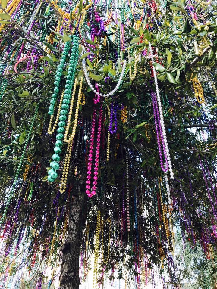 Mardi Gras Beads